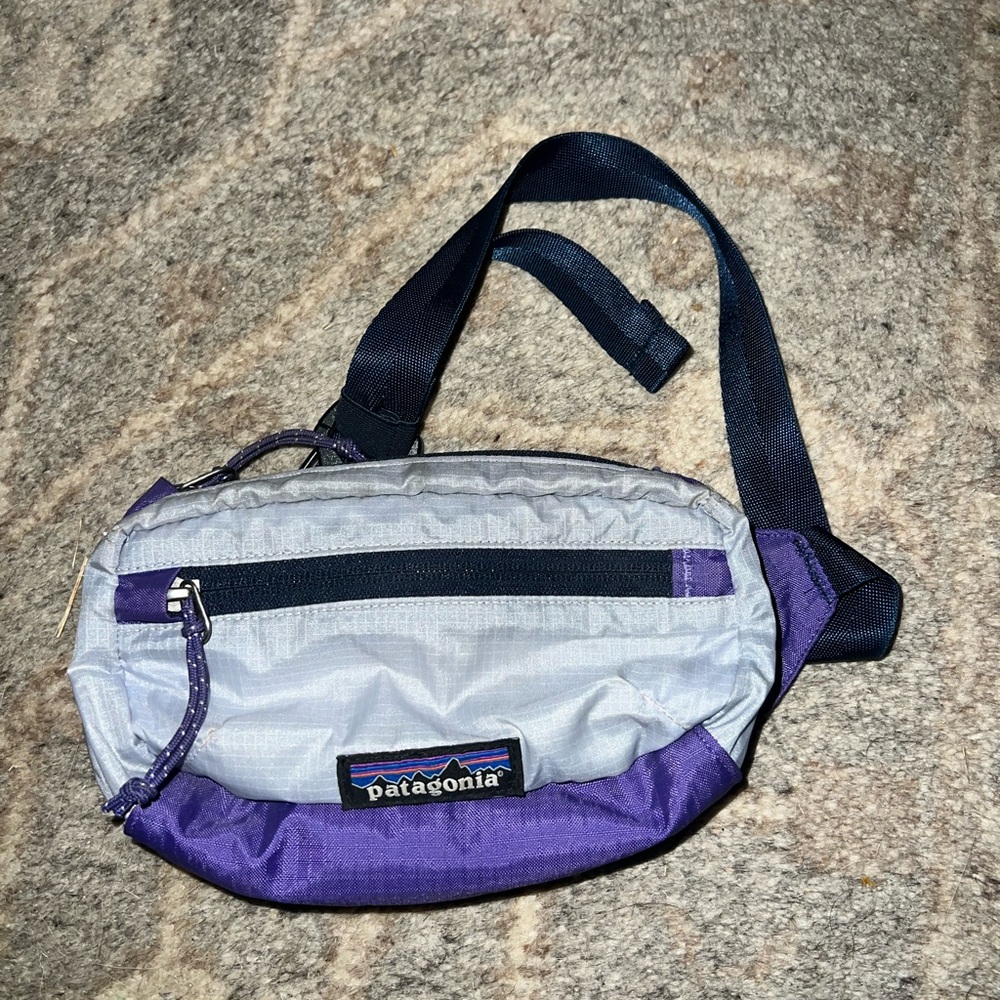 Patagonia Lightweight Travel Mini Hip Pack